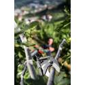 Foarfeca de taiat cu brat telescopic 240-400cm
